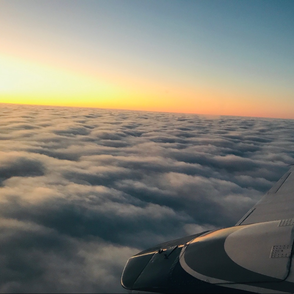 Meet your Posher, Sharkandwhale